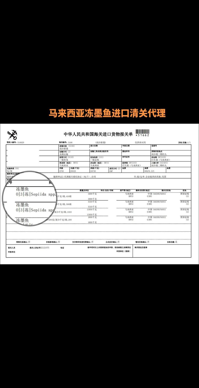 海口贸易公司的行业风向：抓住机遇应对挑战