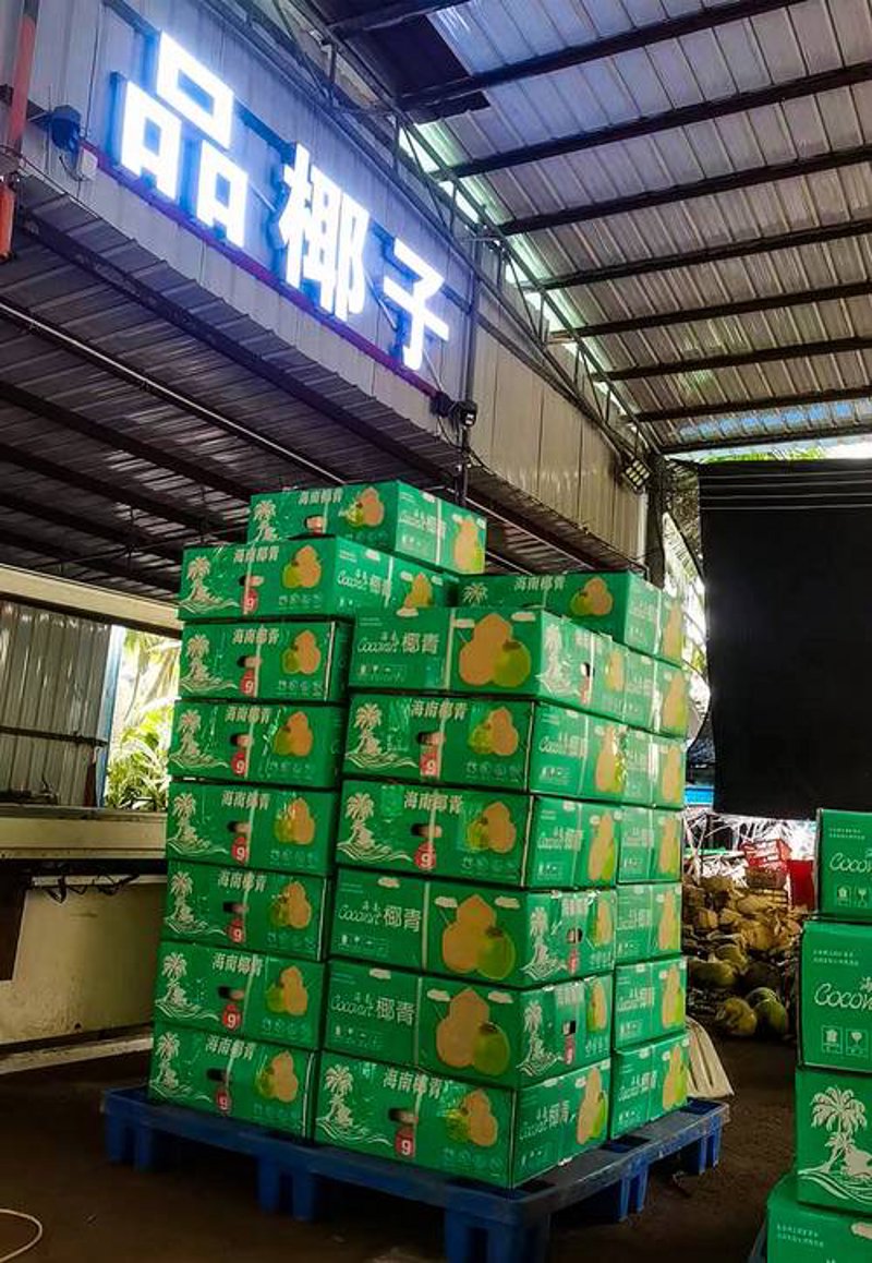 海口贸易公司的繁荣与发展